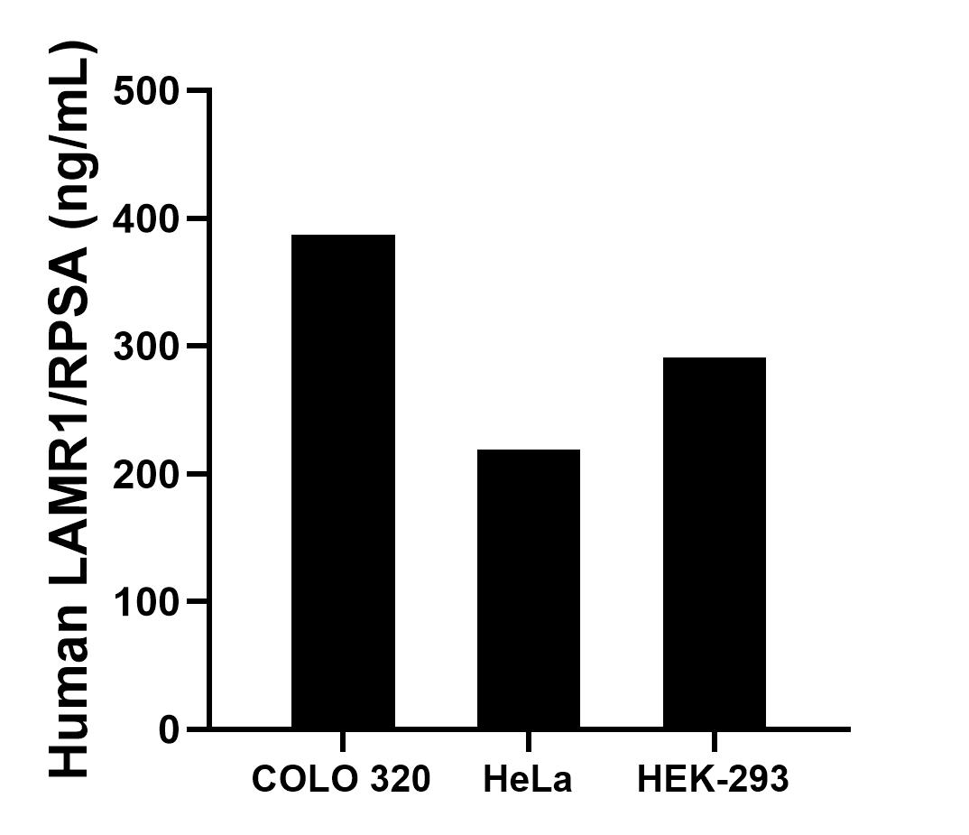 Sample test of MP00494-4